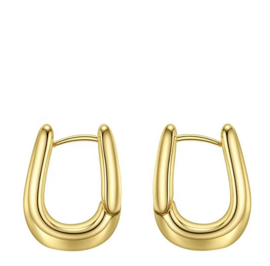 PARIS OVAL HOOPS