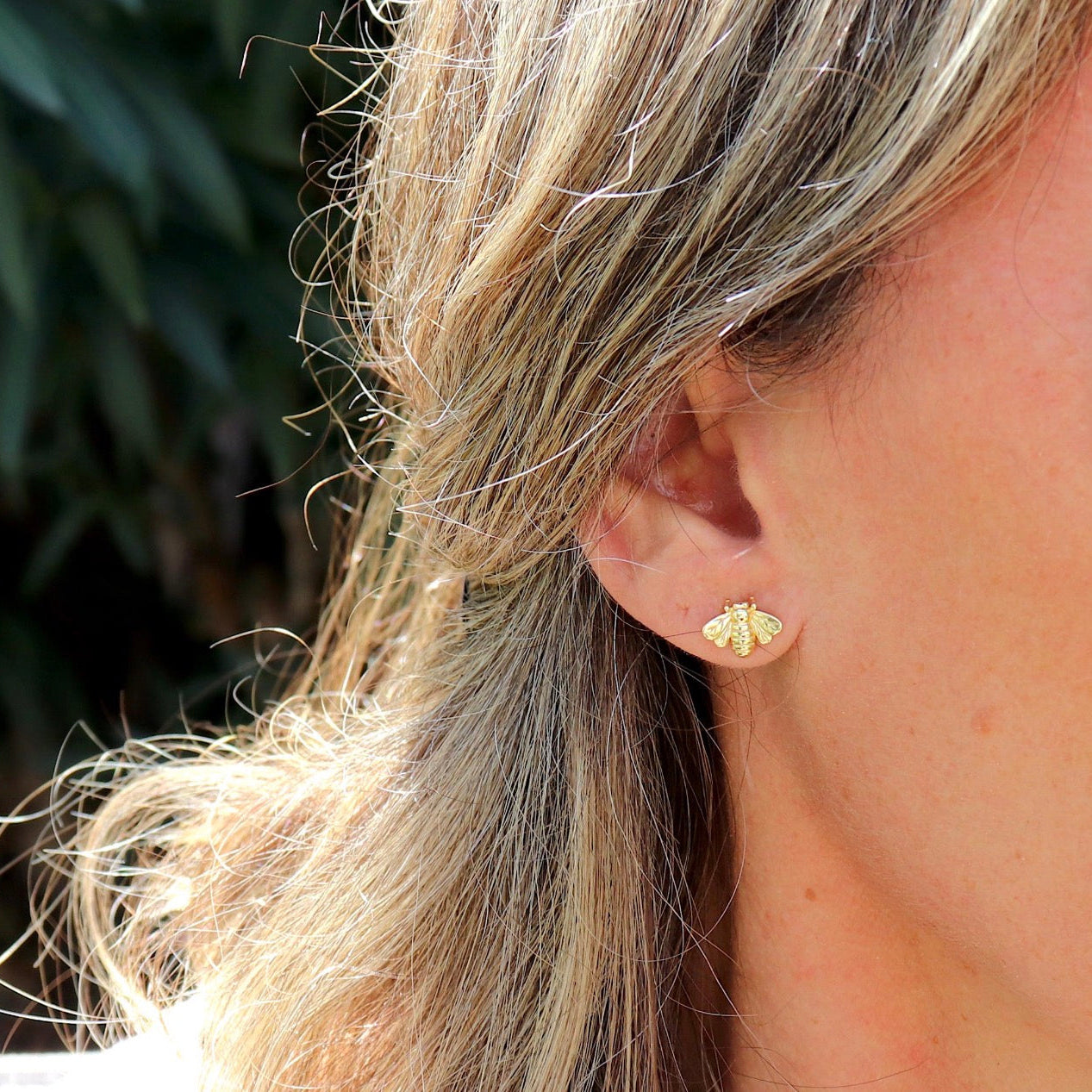 WE’RE MEANT TO BEE